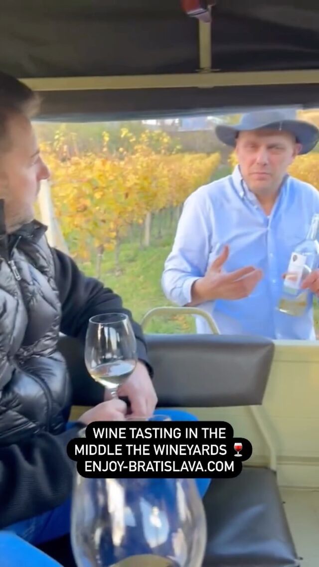 Try something original in Bratislava! Taste our wines while driving through the wineyards in an offroad vehicle. Adrenaline and new knowledge guaranteed!

#bratislava #slovakia #enjoybratislava #winetasting #offroad